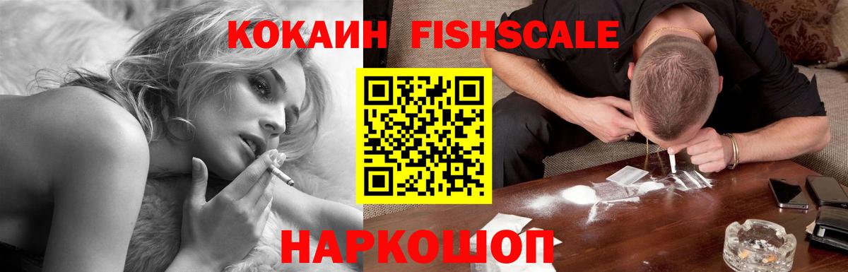 Мыски  Cocaine Fish Scale  Вход с VPN 